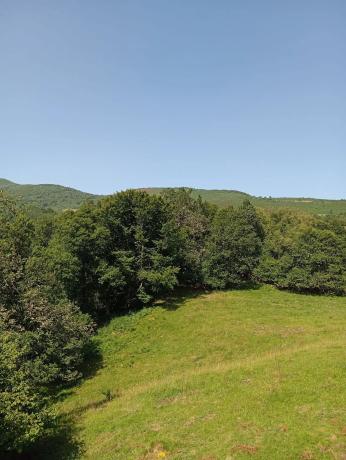 Finca rústica en Felguera (El Rasón) s/n RoNegrosn