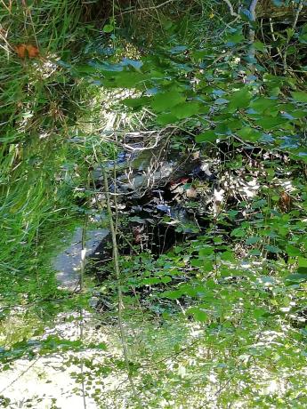 Finca rústica en Felguera (El Rasón) s/n RoNegrosn