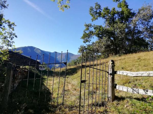 Finca rústica en Felguera (El Rasón) s/n RoNegrosn