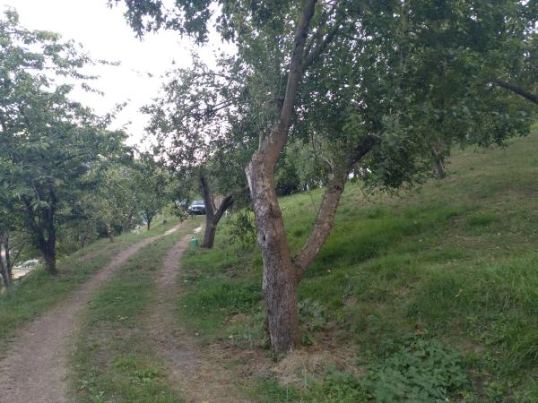 Finca rústica en San Martino, 1