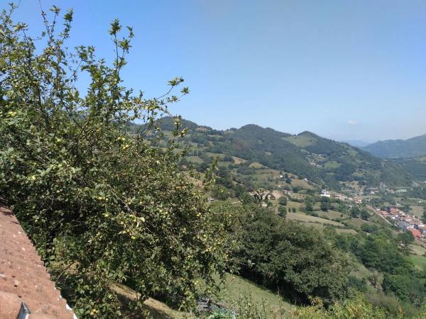 Finca rústica en San Martino, 1