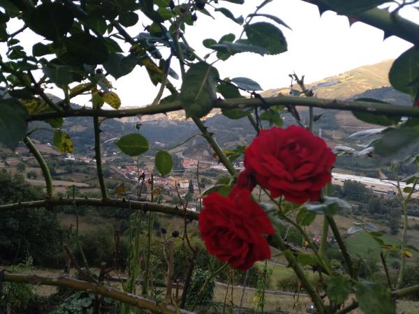 Finca rústica en San Martino, 1