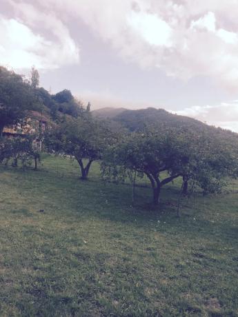 Casa independiente en Cornellana s/n