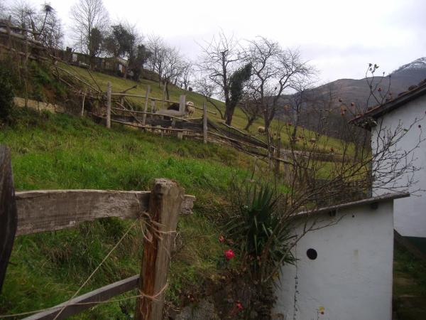 Casa independiente en El Cortijo s/n
