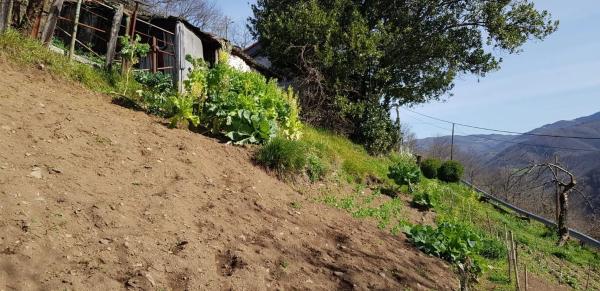 Casa de pueblo en carretera la Carba de Linares Turon, 3