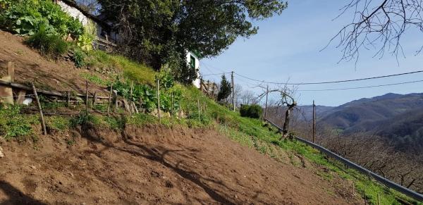Casa de pueblo en carretera la Carba de Linares Turon, 3