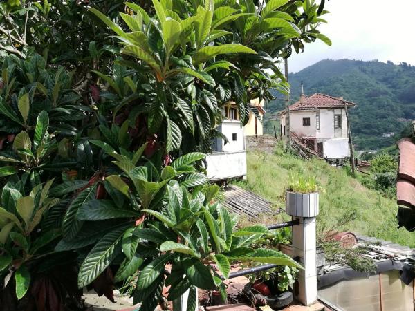 Casa independiente en camino la Conforcada, 1