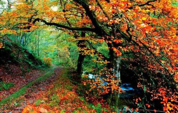 Casa de pueblo en camino Real s/n