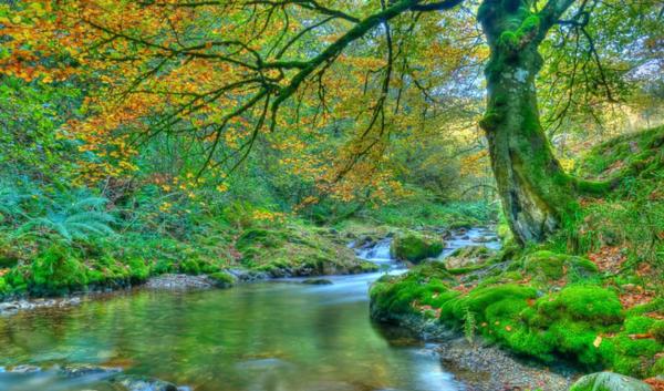 Casa de pueblo en camino Real s/n