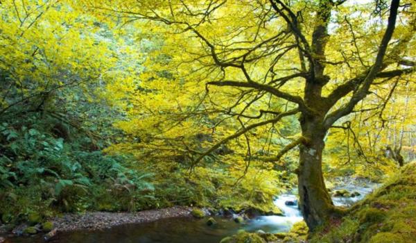 Casa de pueblo en camino Real s/n