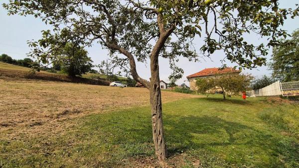 Casa de pueblo en calle Arcallana s/n