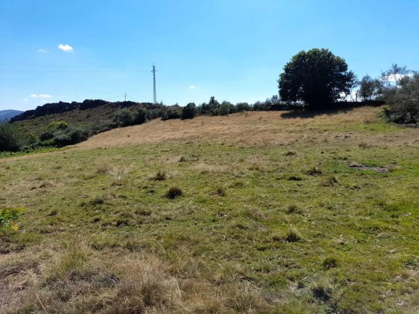 Finca rústica en Caserio Travadelo, 4 a