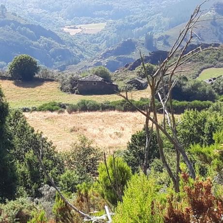 Finca rústica en Caserio Travadelo, 4 a