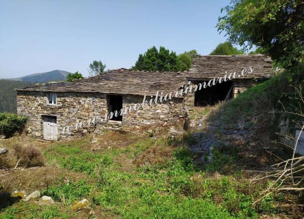 Casa de pueblo en Silvallana s/n