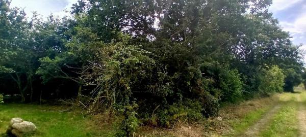 Casa independiente en carretera Irún - Santiago, 8