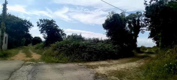 Casa independiente en carretera Irún - Santiago, 8