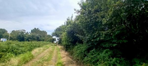 Casa independiente en carretera Irún - Santiago, 8