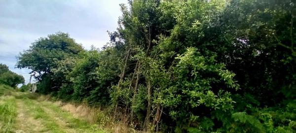 Casa independiente en carretera Irún - Santiago, 8