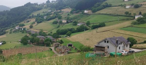 Casa de pueblo en carretera de Serandías, 1132