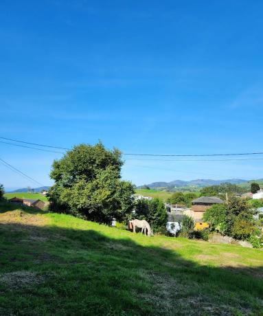 Casa de pueblo en Ayones, 110
