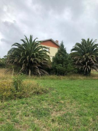 Casa independiente en calle da Fonte, 6 a