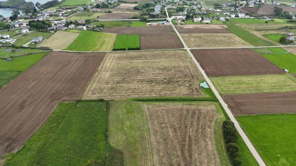Casa independiente en El Viso