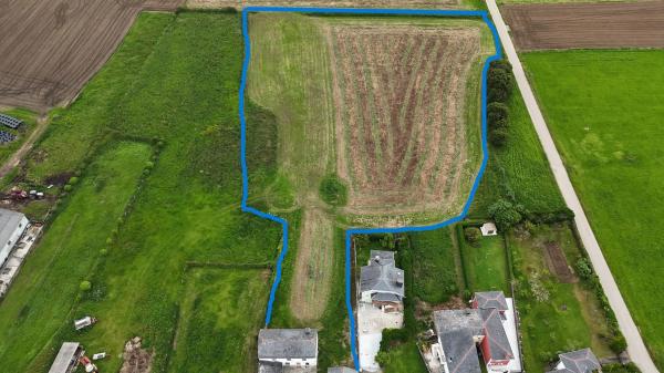 Casa independiente en El Viso