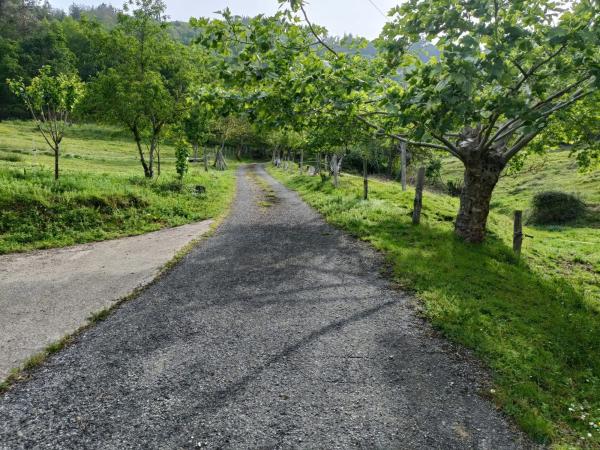 Casa independiente en San Mayor, 1