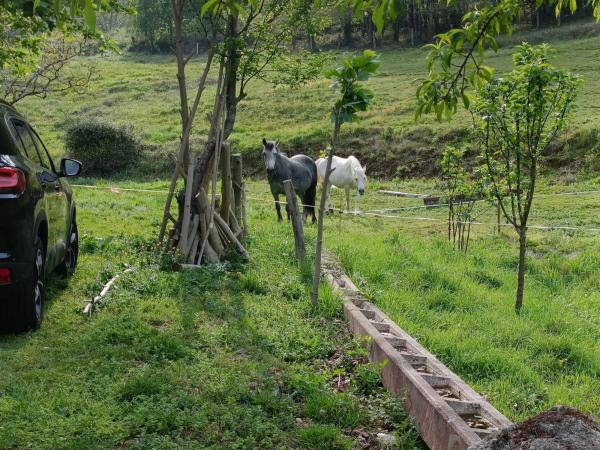 Casa independiente en San Mayor, 1