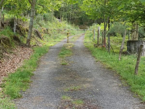 Casa independiente en San Mayor, 1