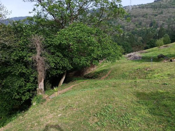 Casa independiente en San Mayor, 1