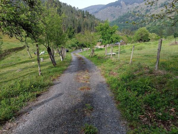 Casa independiente en San Mayor, 1