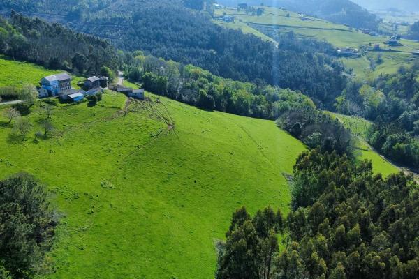 Finca rústica en Vía, 7