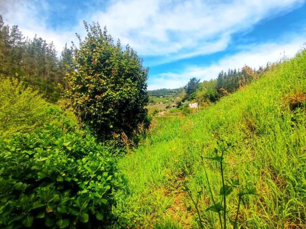Casa independiente en Ruta del Agua