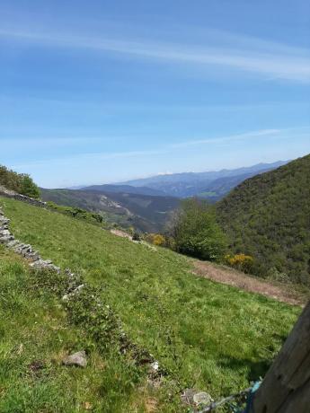 Casa rural en Aldea el Pato, 11
