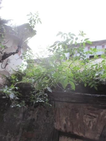 Casa de pueblo en N-640