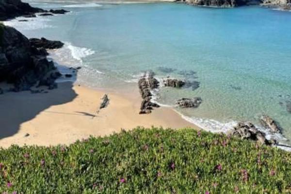 Casa independiente en avenida de Galicia