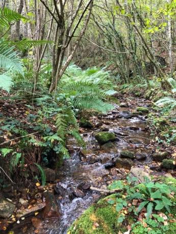 Casa de pueblo en Lantero, 1