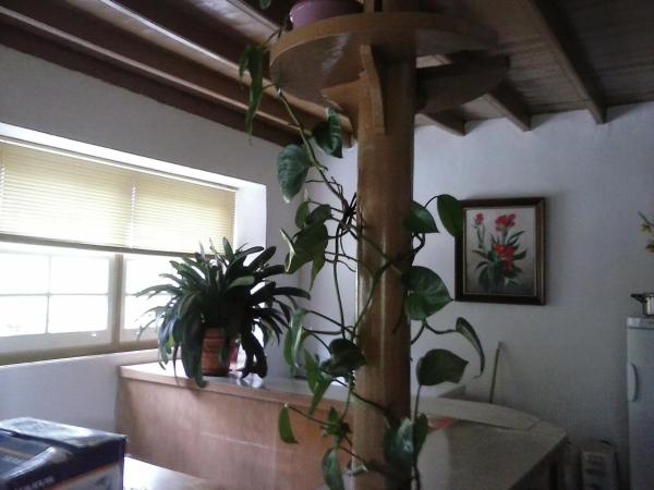 Casa independiente en Aldea Lebredo