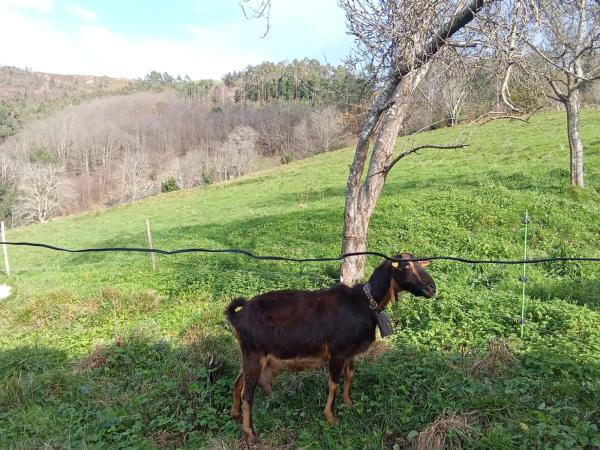Casa de pueblo en Turuelles s/n sn