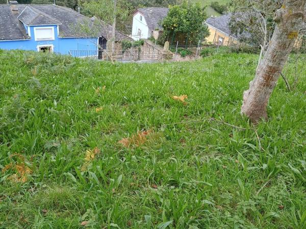 Casa rural en carretera Ponticiella, 9