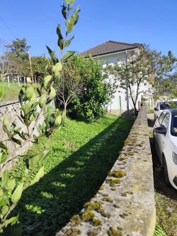 Casa independiente en muñas de abajo s/n