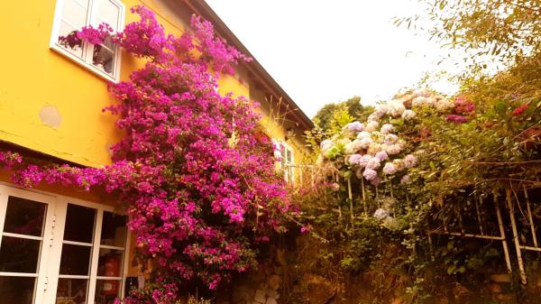 Casa independiente en Lugar Ablaneo, 7