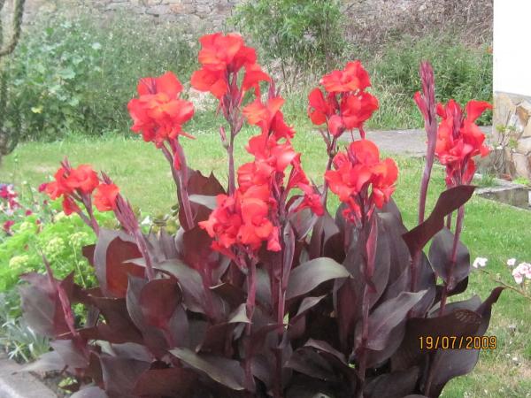 Casa independiente en longara el franco s/n sn