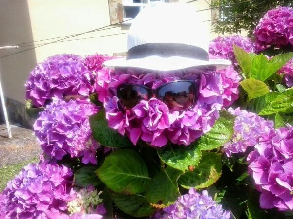 Casa independiente en longara el franco s/n sn