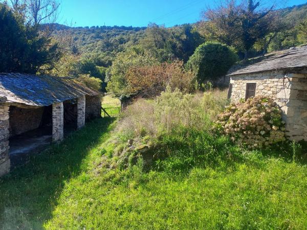 Finca rústica en camino penouta s/n