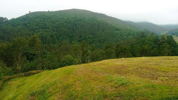 Caserón en Arcallana, 35
