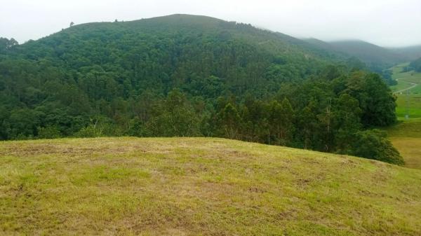 Caserón en Arcallana, 35