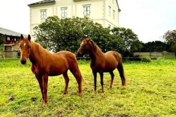 Casa independiente en Folgueiron s/n