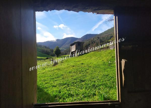 Caserón en Bustelo s/n